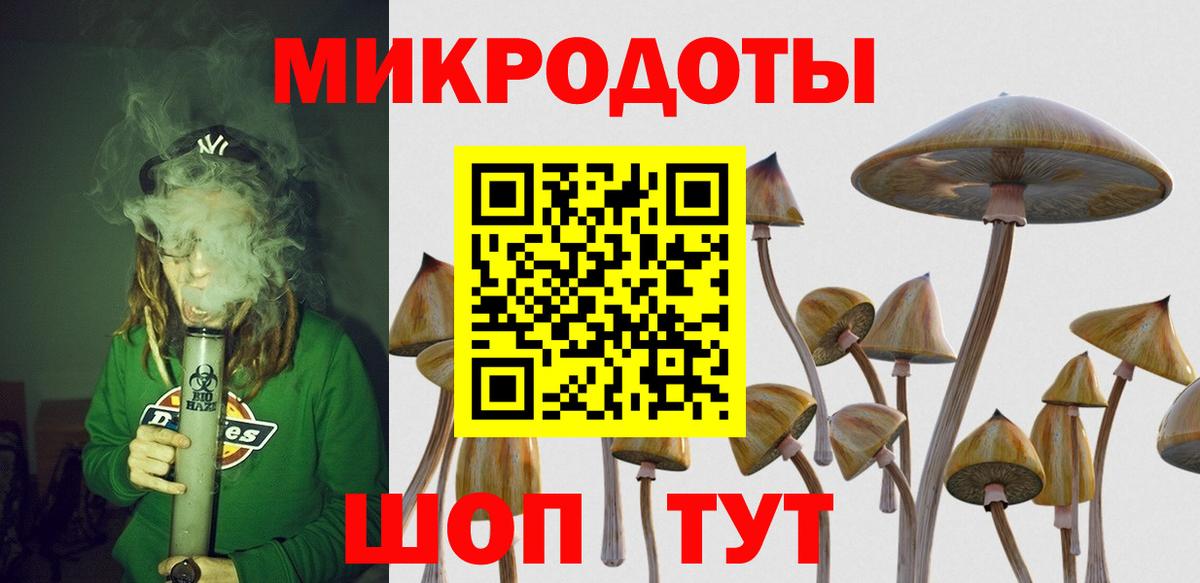 Галлюциногенные грибы GOLDEN TEACHER  Вход с VPN  купить   Новоалександровск 