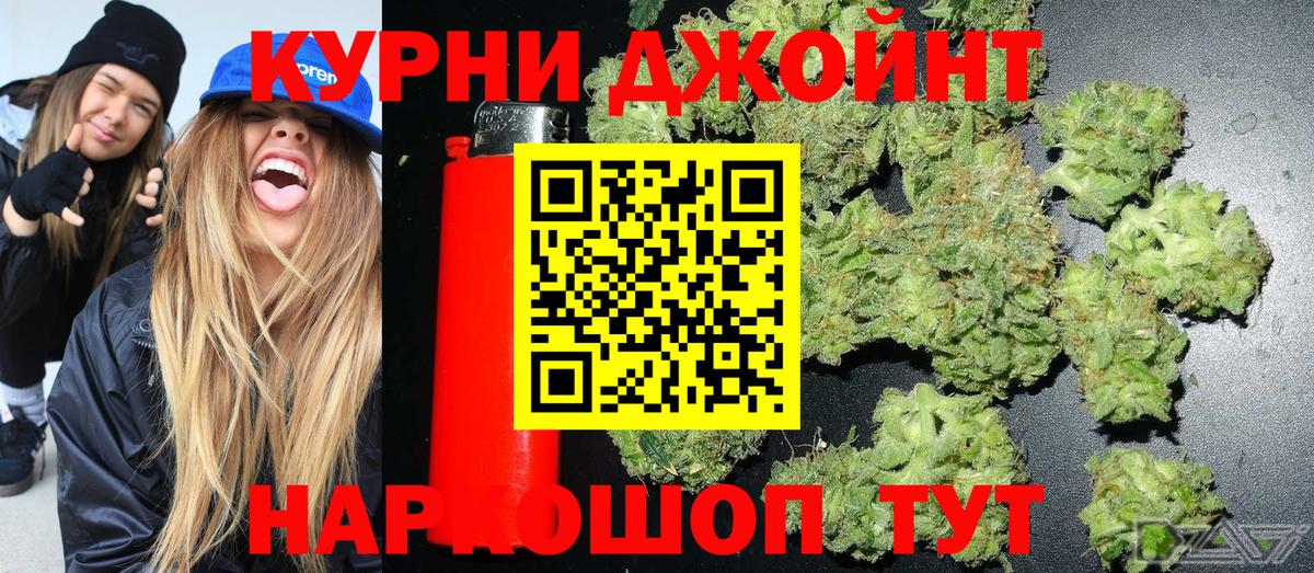 Марихуана гибрид Новоалександровск